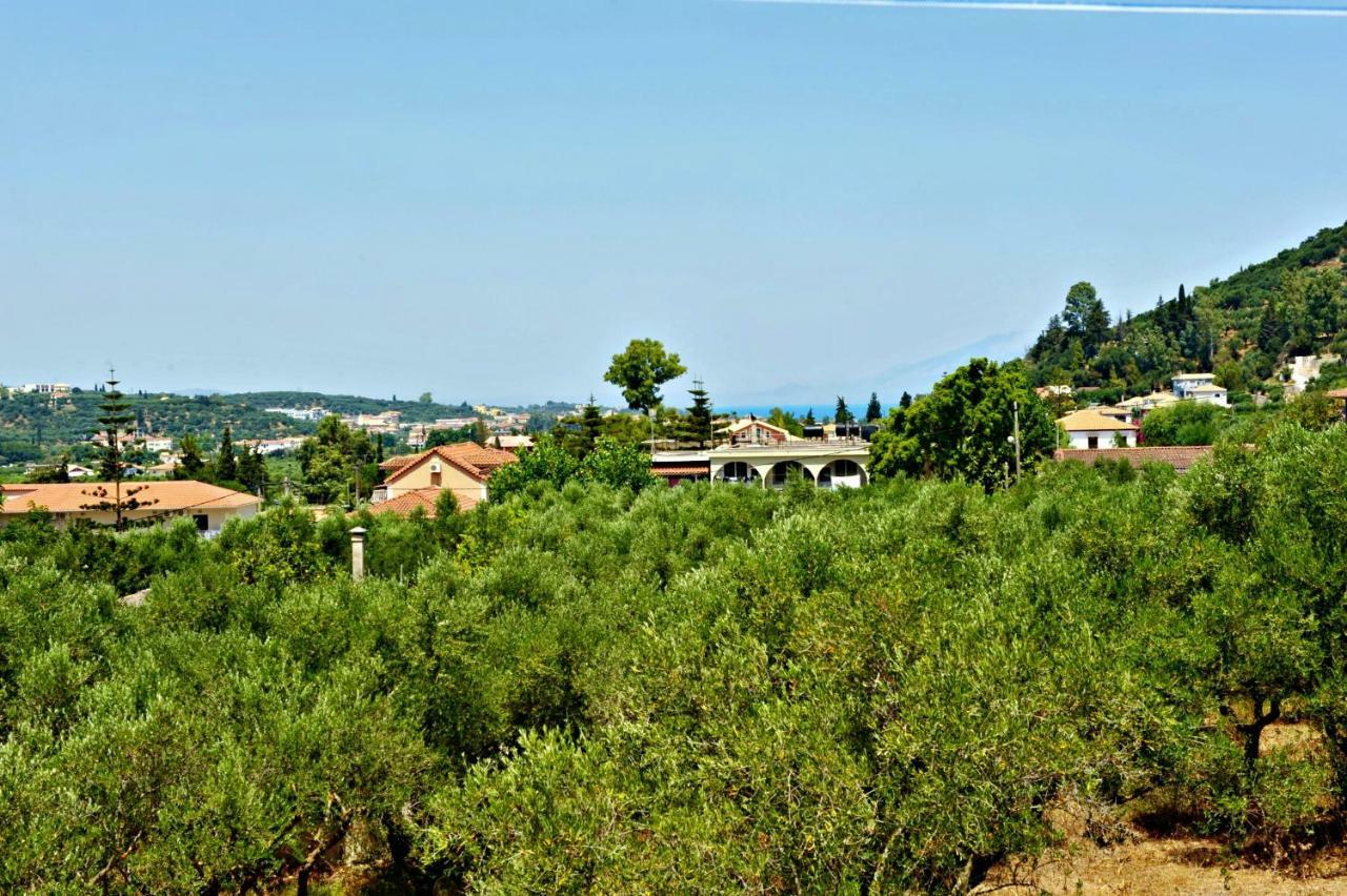Studios Dimitris Giatras Zákynthos by Eksteriør bilde